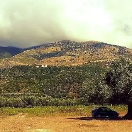 The Olive Grove Holiday home Borsh