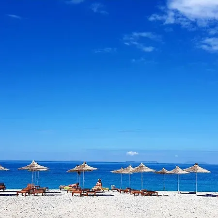 The Olive Grove * Borsh