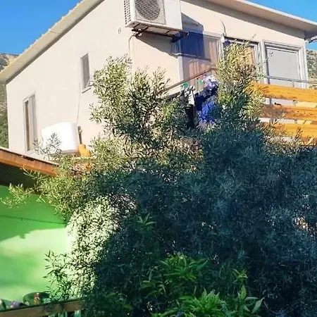 The Olive Grove Holiday home