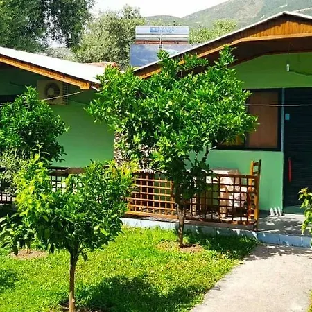 The Olive Grove Borsh