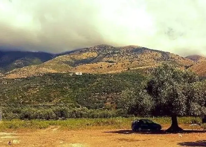The Olive Grove Hébergement de vacances Borsh