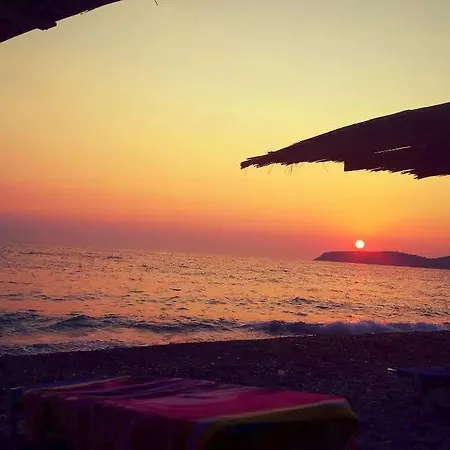 The Olive Grove Borsh