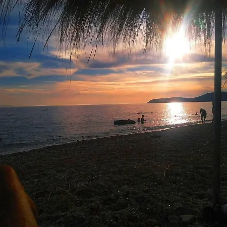 Nyaraló The Olive Grove *