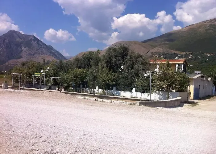 The Olive Grove Borş