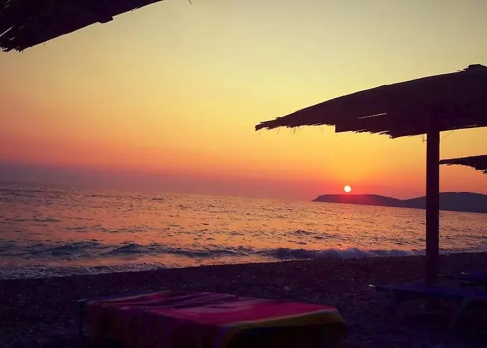 The Olive Grove Borsh