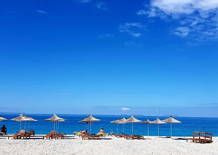 The Olive Grove * Borş