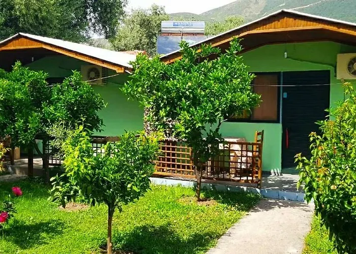 The Olive Grove Borş