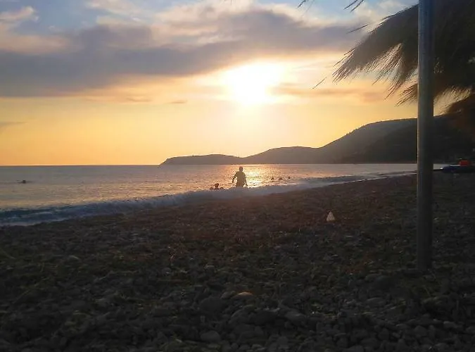 Tatil Evi The Olive Grove