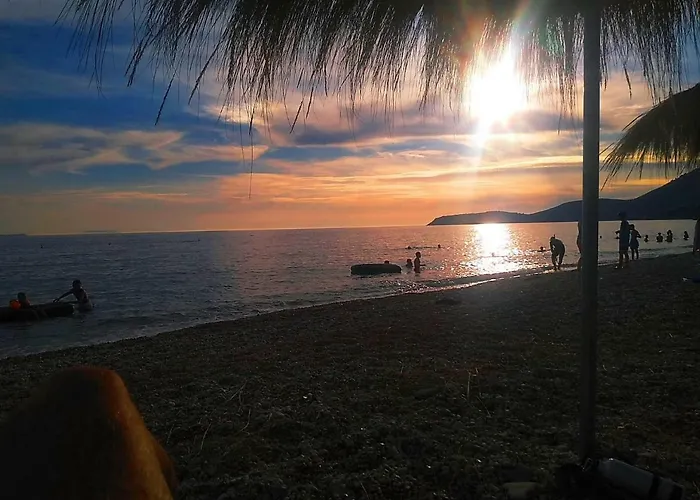 Tatil Evi The Olive Grove *